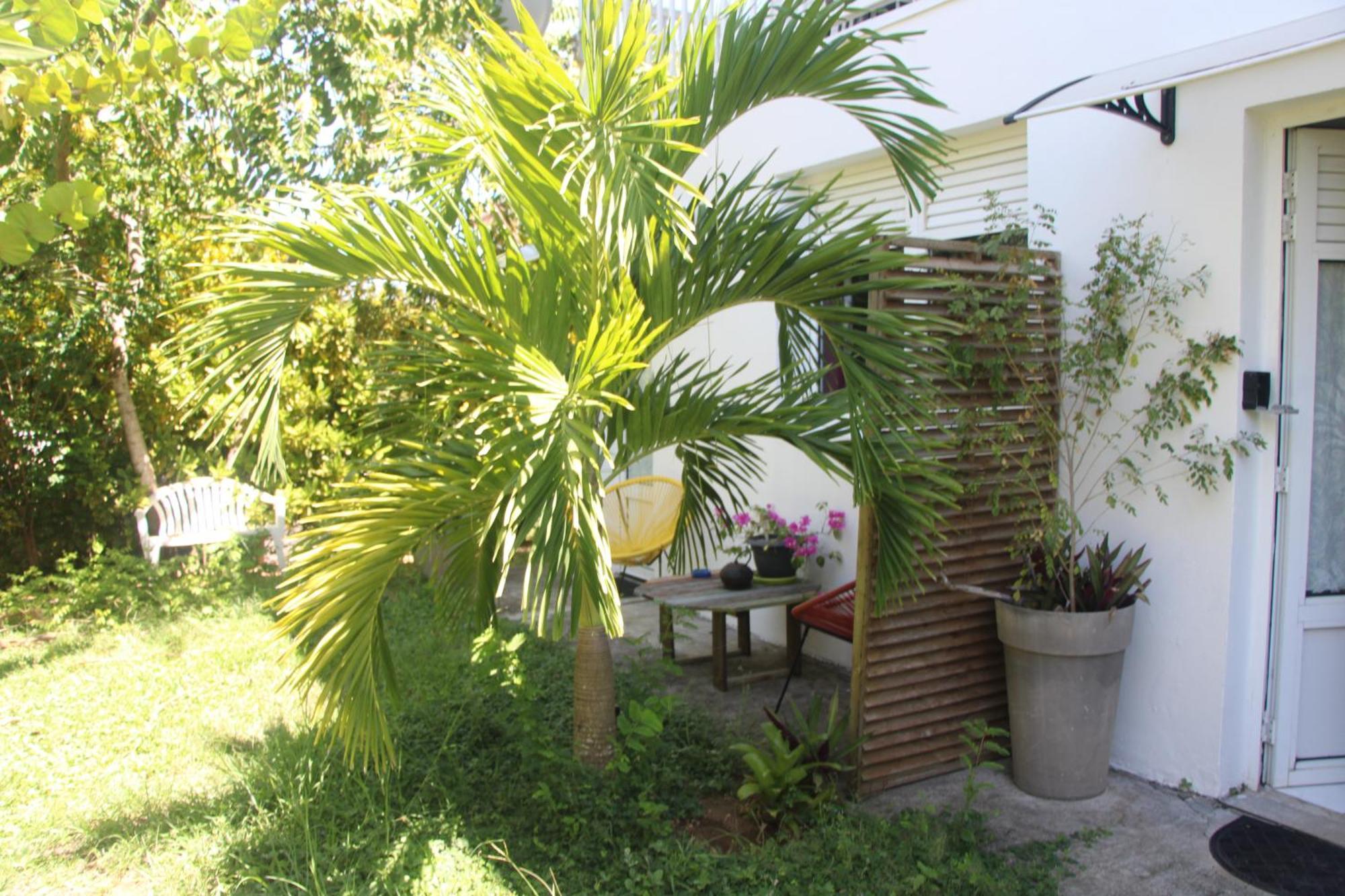 Ferienwohnung Le Colibri Et Le Frangipanier Trinite  Exterior foto